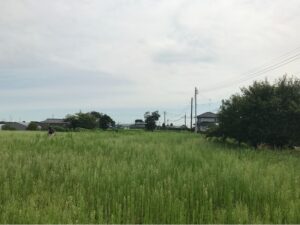 アイングファーム〜福利厚生としての活動とこども食堂への寄贈〜アイングファーム