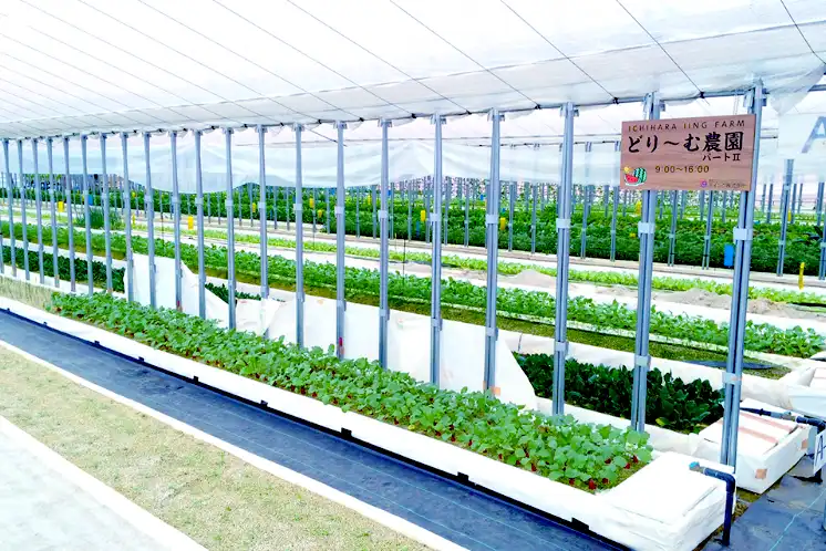 CSRと障がい者雇用制度への取り組み