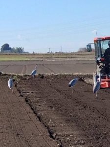 収穫祭だけじゃない。アイングファームの日常にある、静かな物語